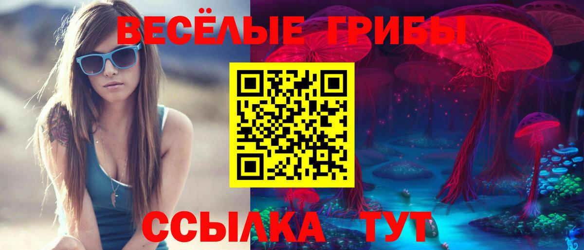 Псилоцибиновые грибы Psilocybine cubensis  Вход с VPN  купить  сайты  Нижний Новгород 
